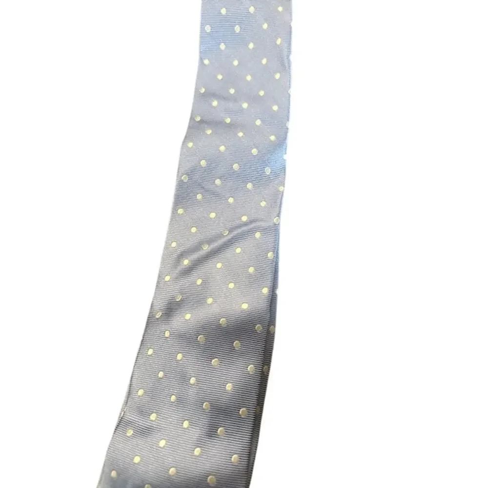 J.Crew Baby Blue White Polka Dot Ludlow Tie Playful Pattern Men